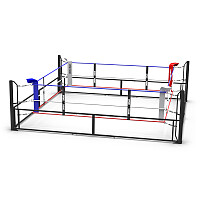 Sport-Thieme Boxring klappbar