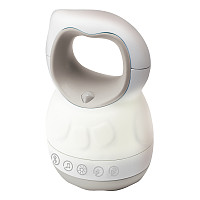 Geschichtenerzähler