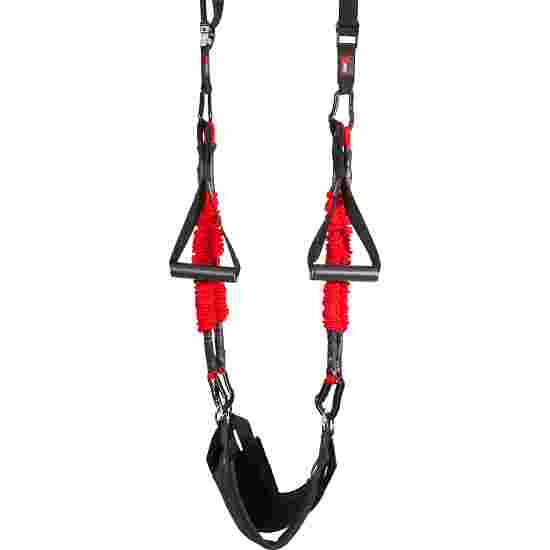 4D Pro Bungee Trainer  3.1