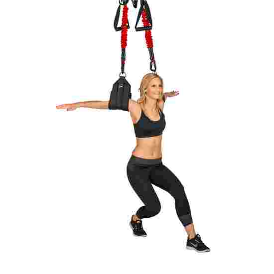 4D Pro Bungee Trainer  3.1