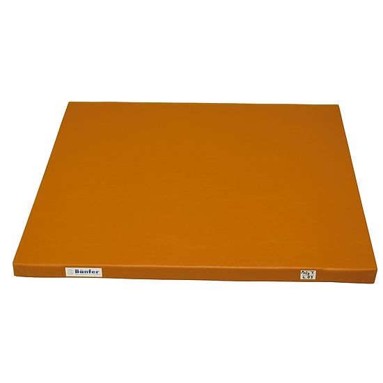Bänfer Tapis de lutte Bänfer « SLG »