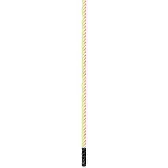 Corde à grimper Sport-Thieme classique 3,5 m