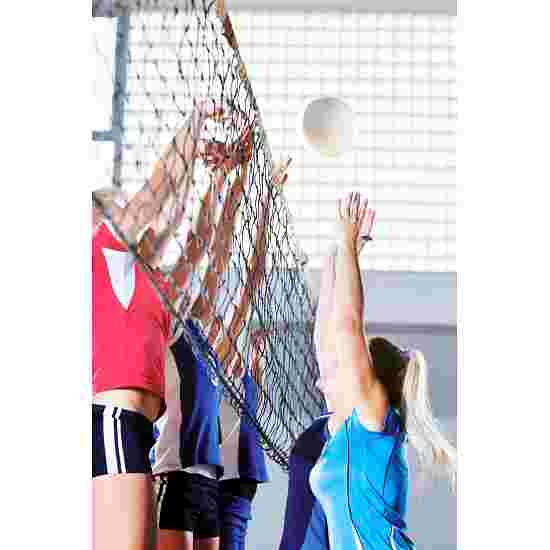 Huck Volleyball Turniernetz &quot;DVV 2&quot;