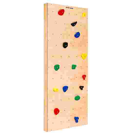 Module pour mur de gymnastique Sport-Thieme « TuWa Mur d'escalade »