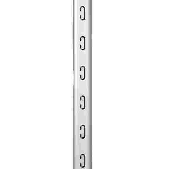 Sport-Thieme Buts en aluminium, 7,32x2,44 m, coins soudés, avec fixation par fourreaux Crochets de fixation