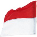 Sport-Thieme Fahne für Grenzstange bis ø 30 mm Rot-Weiss