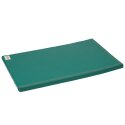 Reivo Tapis de gymnastique combinable « Sécurité » Polygrip vert, 200x100x8 cm