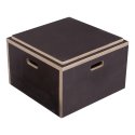 Sport-Thieme Plyobox combinable 50x50x30 cm