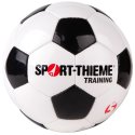 Sport-Thieme Fussball "Training" Grösse 5