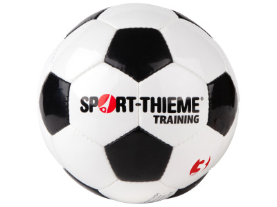 Ballon de football Sport-Thieme « Training »