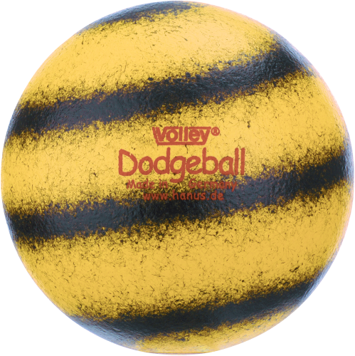 Volley Weichschaumball "Dodgeball"