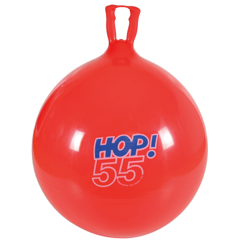 Ballon sauteur Gymnic « HOP »