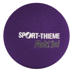  Sport-Thieme « Multi-Ball »