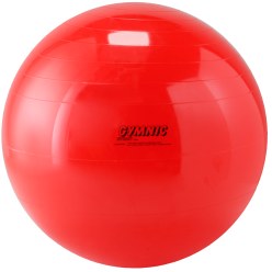 Gymnic Fitnessball ø 65 cm