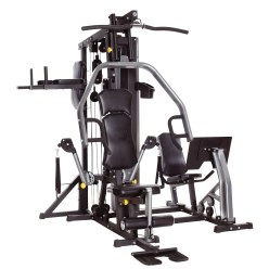Horizon Fitness Multi-Station "Torus 5"