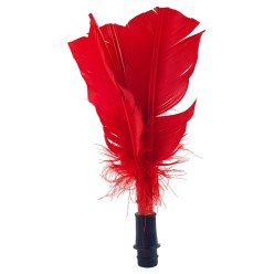 Ersatzfeder für Indiaca®