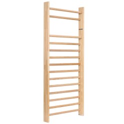 Espalier Sport-Thieme® 230x100 cm