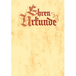 Document officiel 21x29,7 cm