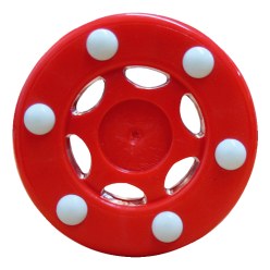 Palet de street-hockey